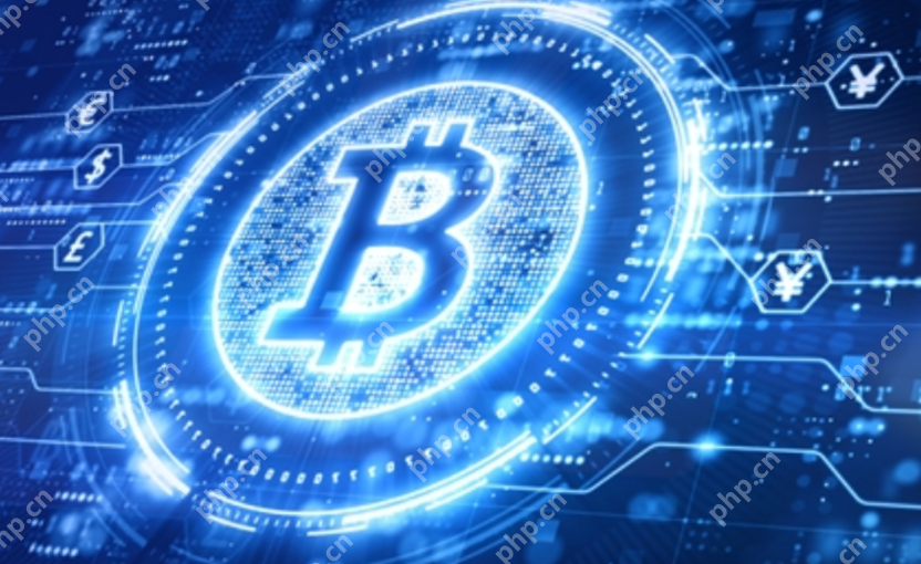 2025年百倍币有哪些 - php中文网